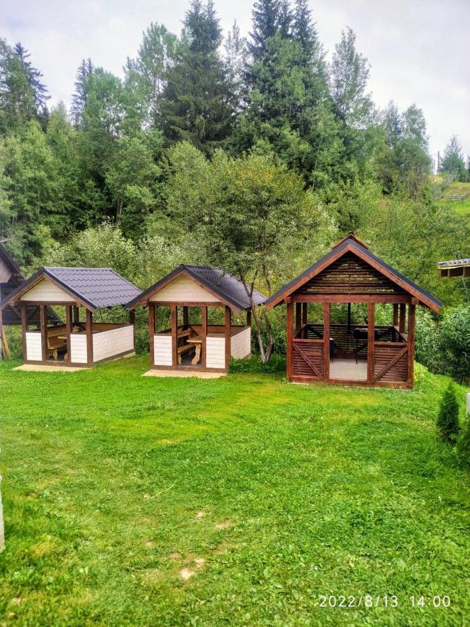 Відпочинковий Комплекс "Alpha Plus" Jablunytsja Eksteriør bilde